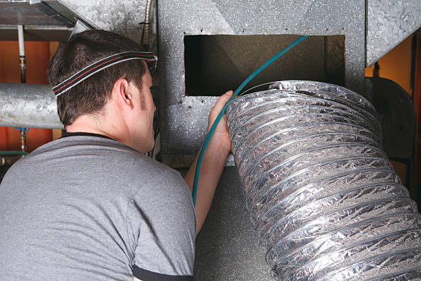 Best Dryer Vent Cleaning Services  in Ives Estates, FL