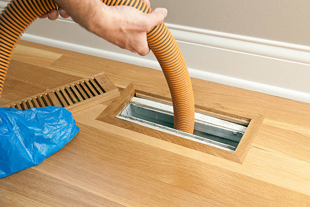 Best Affordable Air Duct Cleaning  in Ives Estates, FL